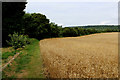 Footpath outside Birling Lodge Farm