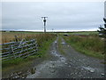 Farm track near Farm Cottages