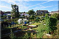 Allotments  on Harborough Hill Road, Barnsley