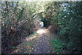 Penistone Rail Trail alongside Barnsley Canal