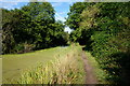 Penistone Rail Trail alongside Barnsley Canal