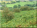 The hillside below Wadsworth Bridleway 55, Midgley