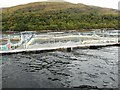 NN0469 : Salmon Farms, Loch Linnhe by Bill Henderson