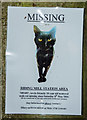 NZ0161 : Lost cat poster - Riding Mill by The Carlisle Kid