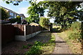 Penistone Rail Trail towards Woodview Lane