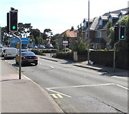 SZ1593 : Pelican crossing, Fairmile Road, Christchurch by Jaggery
