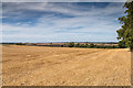 Stubble field west of Buckle Street