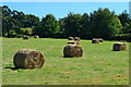 Hay bales in field near Kintbury