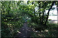 Penistone Rail Trail towards Dodworth