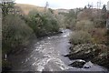 Downstream from Ettrick Bridge