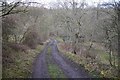 Road to Howford Mill