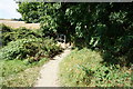 Path leading towards Silkstone Fall