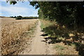 Penistone Rail Trail towards Silkstone Fall