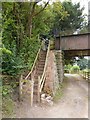 Steps from canal towpath to old railway bridge (Black Bridge)