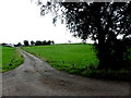 H5067 : Farm lane, Donaghanie by Kenneth  Allen