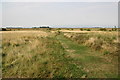 Barling Magna Nature Reserve looking towards River Roach