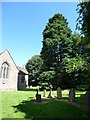 St Mary the Virgin, Kilmington: churchyard (1)