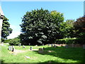 St Mary the Virgin, Kilmington: churchyard (3)