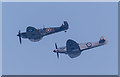 TM1713 : Spitfires,  Clacton Air Show, Essex by Christine Matthews