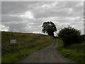 Track to Easter Catochil and Gamekeeper