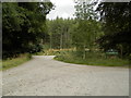 Forestry Commission site at Pitmedden