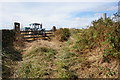 Bridleway towards Firs Lane