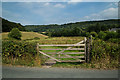 Footpath to Kelly Cross