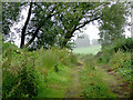 Farm Track by Spring Hill, Wolverhampton