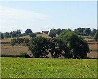 SO9068 : The Hill Farm, Elmbridge, Worcestershire by Jeff Gogarty