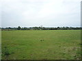 Grazing, Crakemarsh 