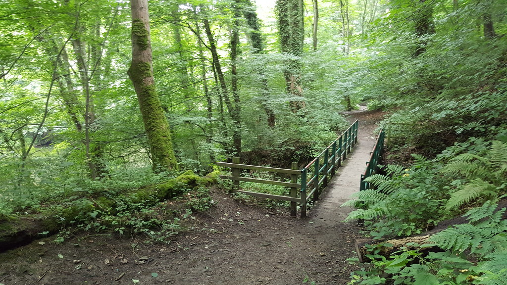 Footbridge in Kepier wood © Clive Nicholson cc-by-sa/2.0 :: Geograph ...