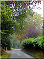 The Lane to Lower Penn, Staffordshire