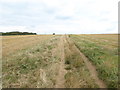 Footpath on the downs