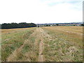 Footpath going down to Shoreham