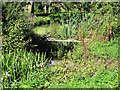 The remains of a sluice gate on Norbury Mill race