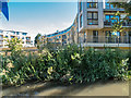 Apartment Block near River Lea, Hertford, Hertfordshire