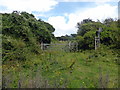 TQ5401 : Gate into Lullington Heath National Nature Reserve by PAUL FARMER