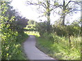 St Clears - path by river