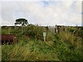 Fylingdales  Pinfold  on  Raw  Lane