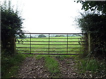 SK0534 : Field entrance north of Bramshall by JThomas