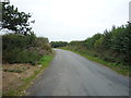 Lane near Banktop Farm