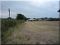 Stubble field and hedgerow