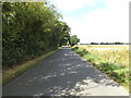TM0470 : Finningham Road, Finningham by Geographer
