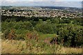 View towards Allerton