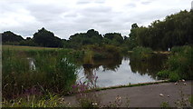 TQ2995 : Wildlife Pond, Oakwood Park, London N14 by Christine Matthews