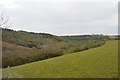 Forest and farmland