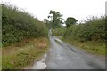 Yellow road with a grass strip