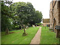 All Saints, Mollington:  path