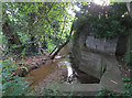 Bushby Brook downstream