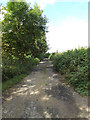 TM0669 : Footpath off the B1113 Walsham Road by Geographer